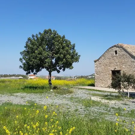 Lejlighed Windmills